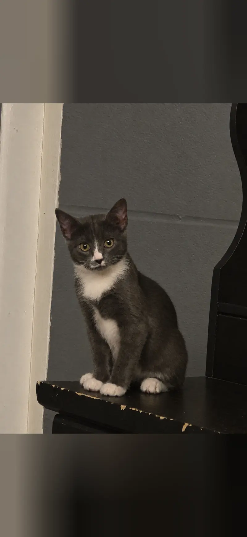 Luna, photo 2