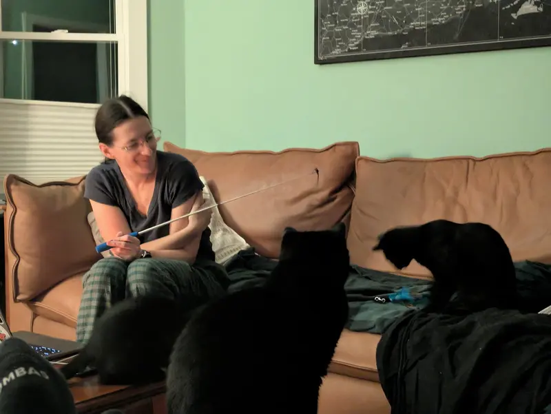 Bean & Momo, photo 3
