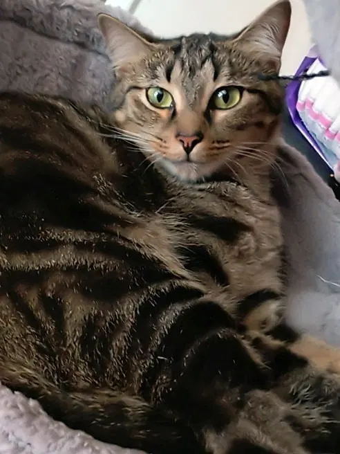 Lil' Mama, photo 2