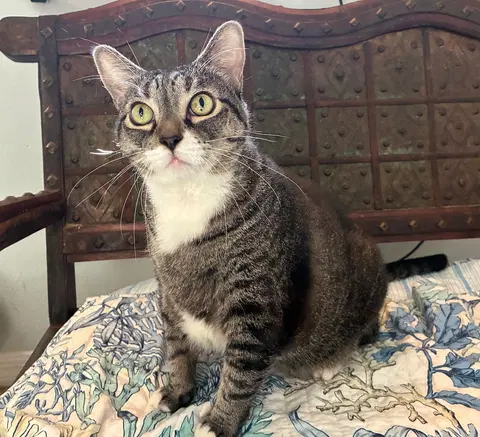 Watch the video of Zoe