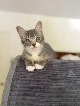 Watch the video of Tipsy