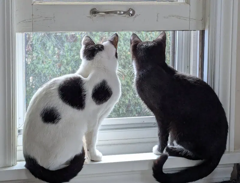 Mother and Son, photo 2