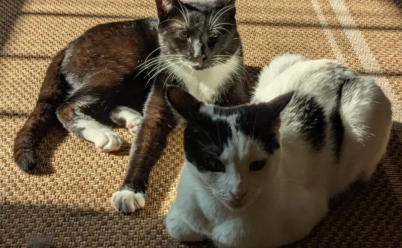 Mother and Son, photo 3