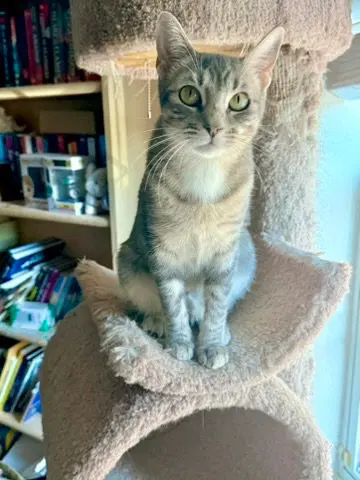 Jolene, photo 2