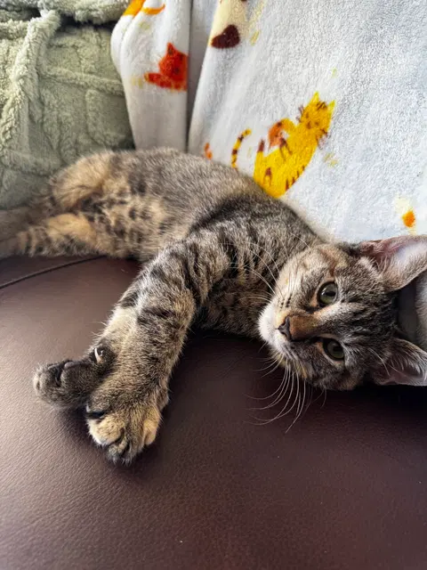 Watch the video of Lady Benny