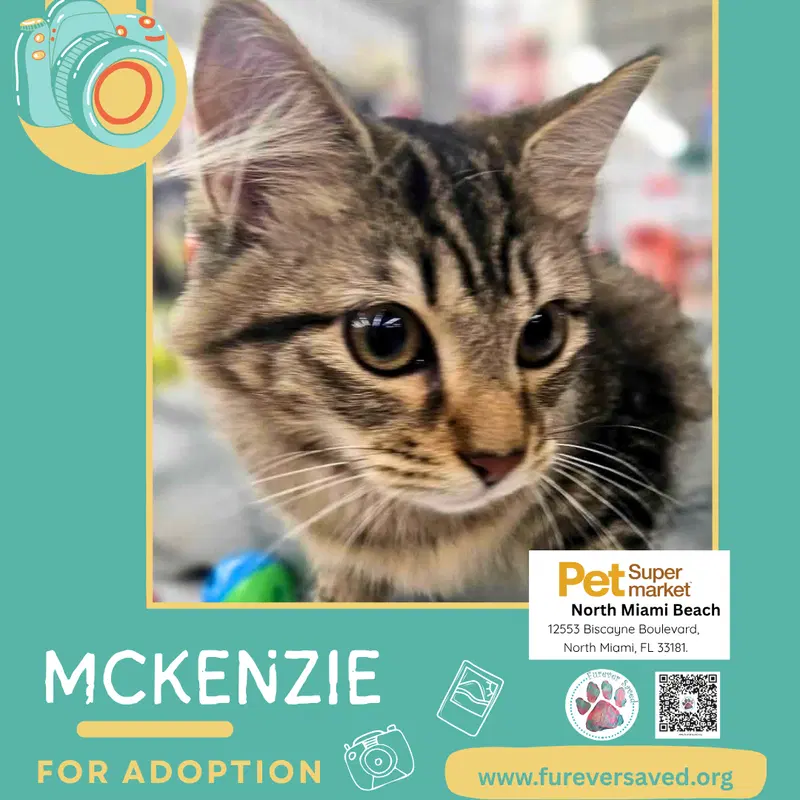 McKenzie, photo 3