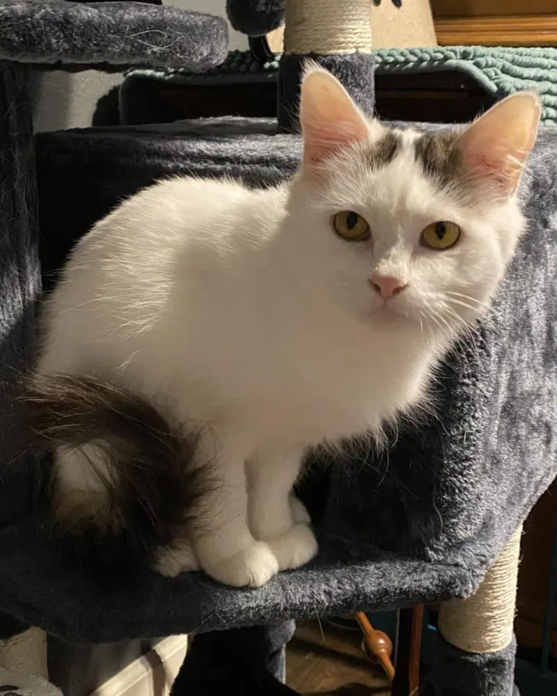 Sally-In Foster, photo 3