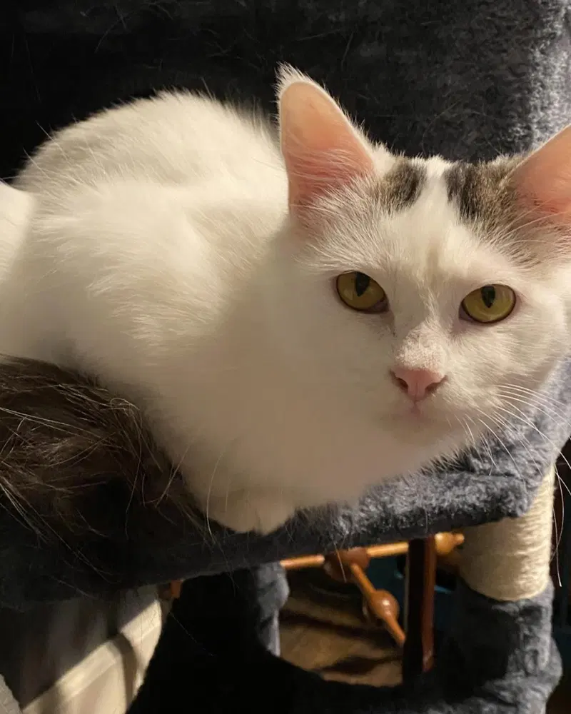 Sally-In Foster, photo 4