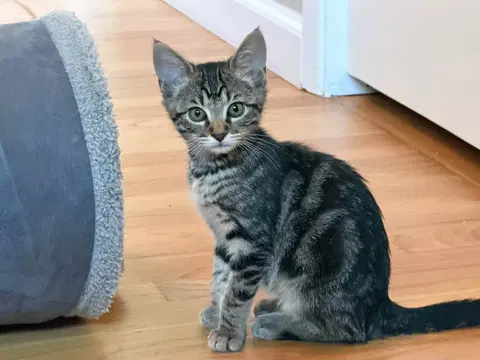 Watch the video of Sunny