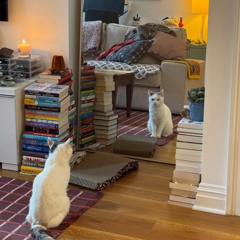 Cyprus, photo 2