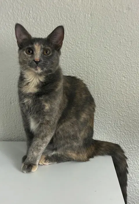 Watch the video of Sophie