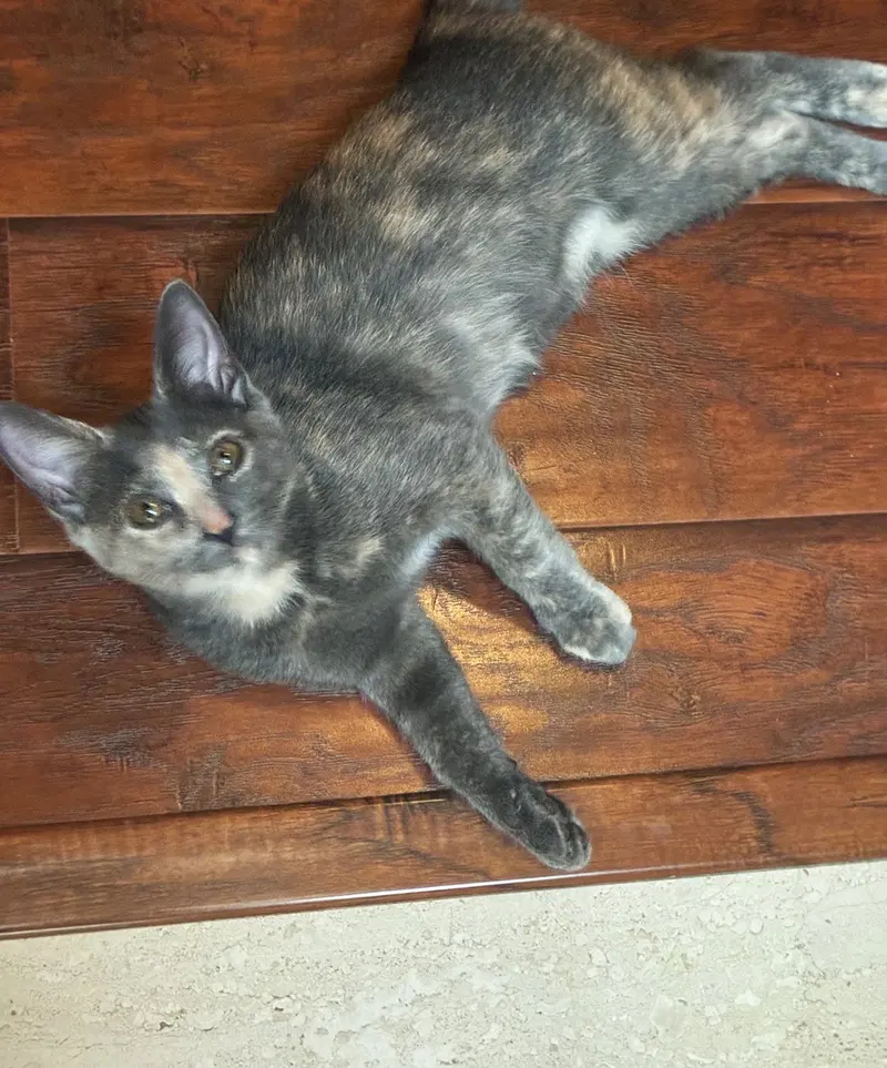 Sophie, photo 2