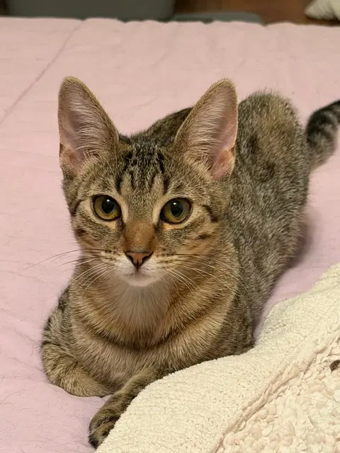 Watch the video of Tumbles