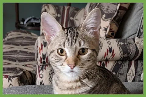 Watch the video of Charlie