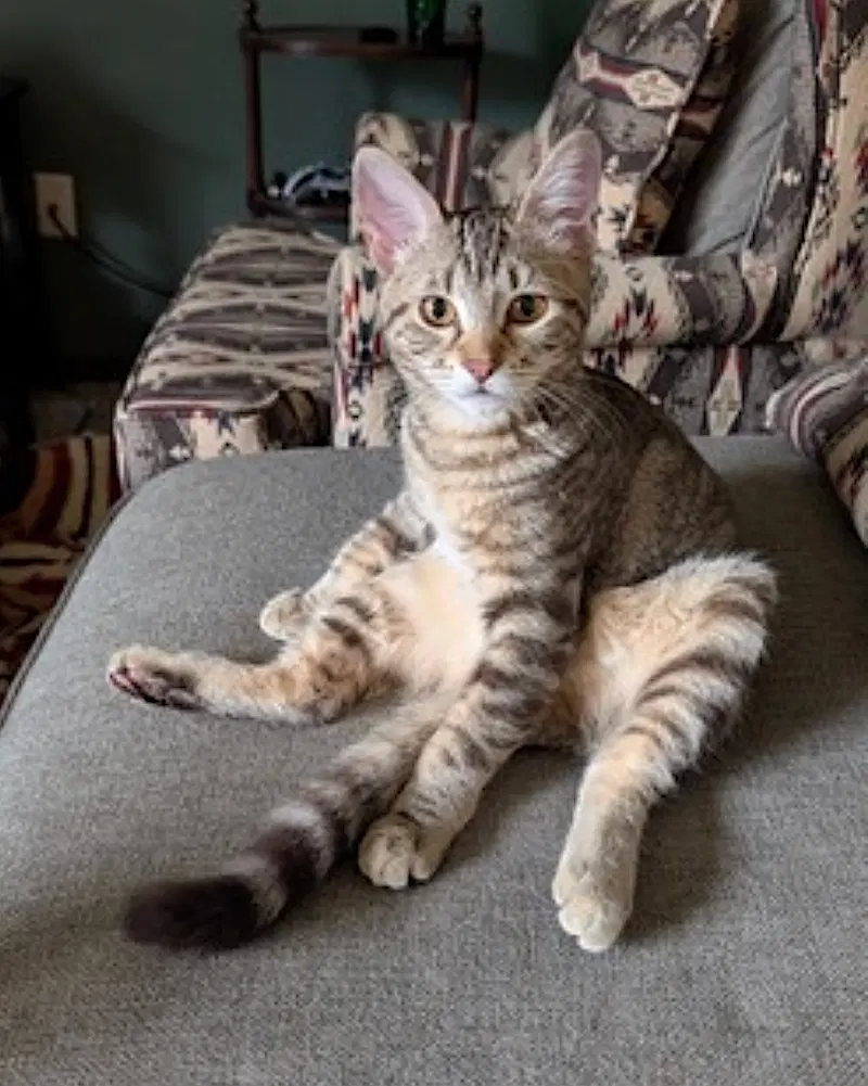 Charlie, photo 6