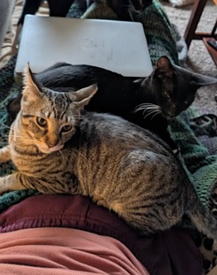 Cricket and Daphne, photo 10