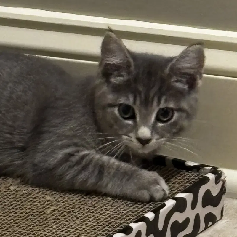 Charlie M, photo 2