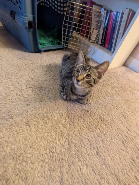 Watch the video of Hunter