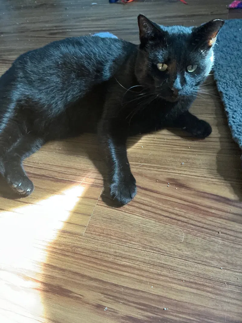 Wally, photo 3