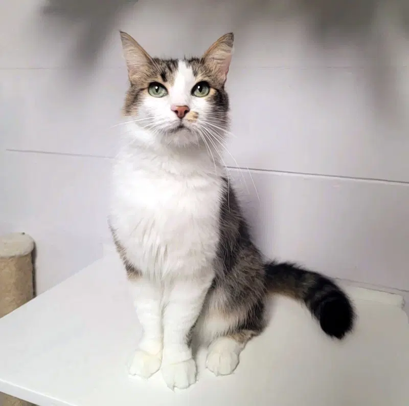 Penelope, photo 2