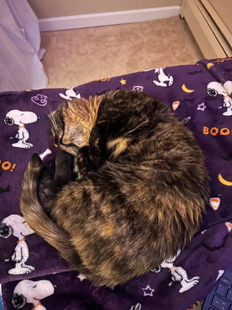 Bonnie, photo 3