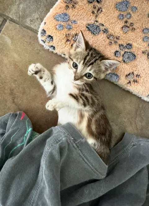 Watch the video of Rudy