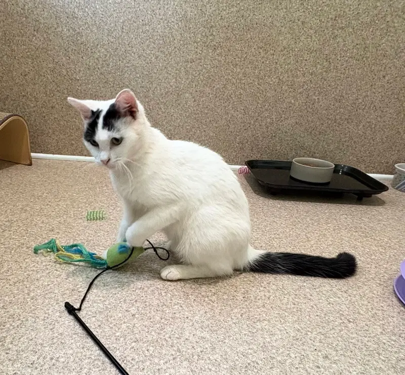 Suzi, photo 3