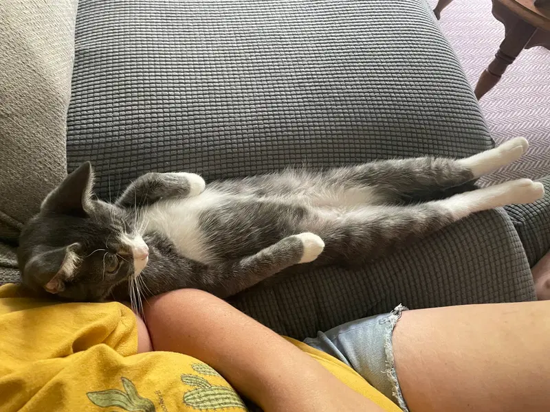 Smokey, photo 4