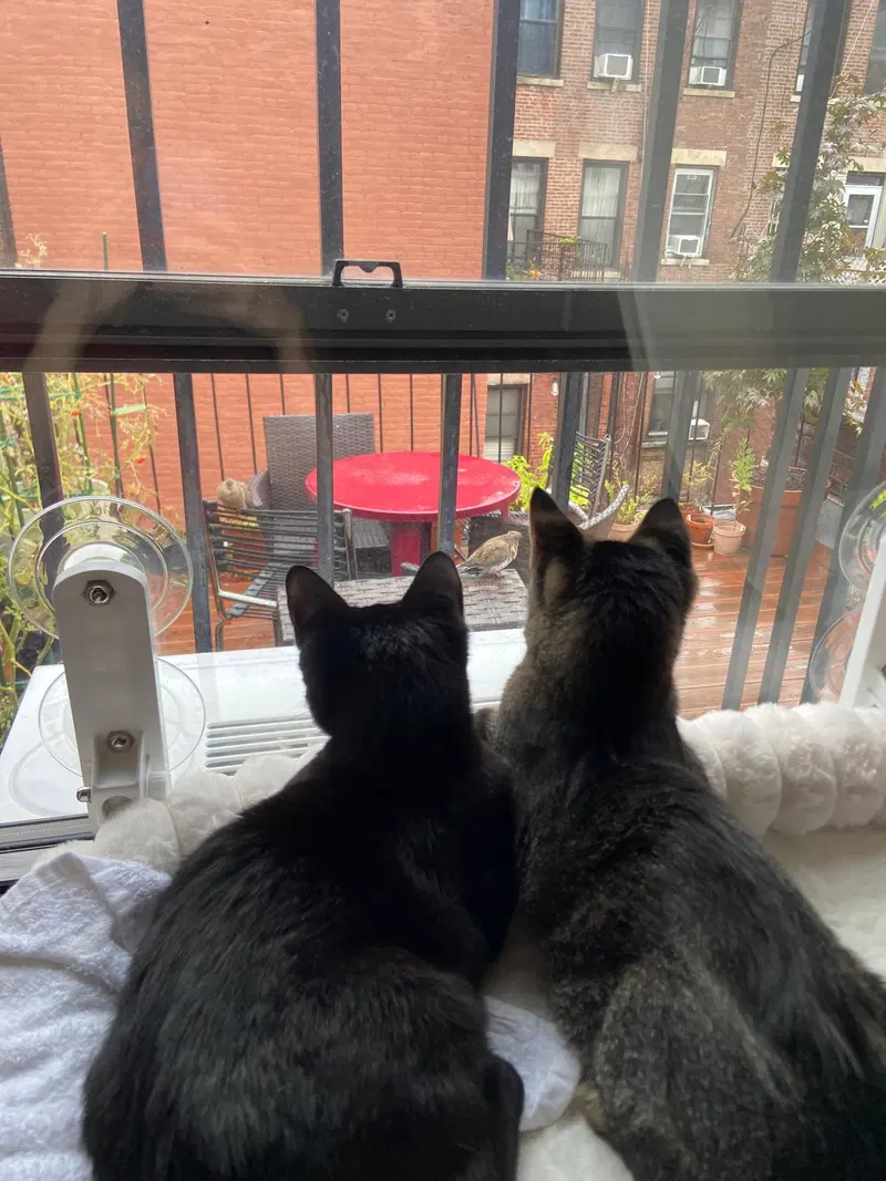 Gladys and Mellie, photo 2