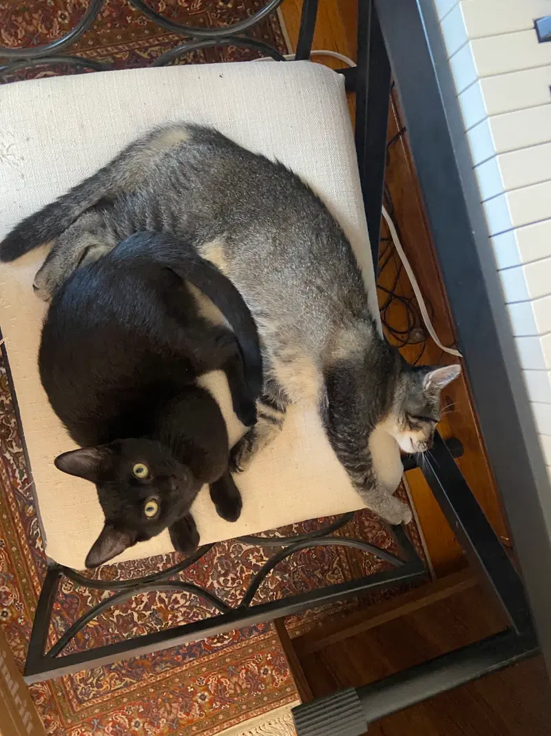 Gladys and Mellie, photo 5