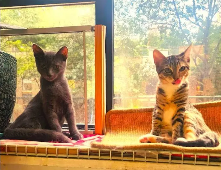 Donald and Donna, photo 2