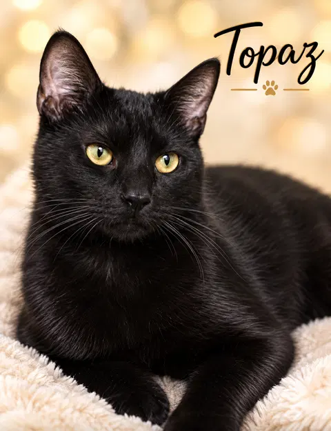 Watch the video of Topaz Willow Grove
