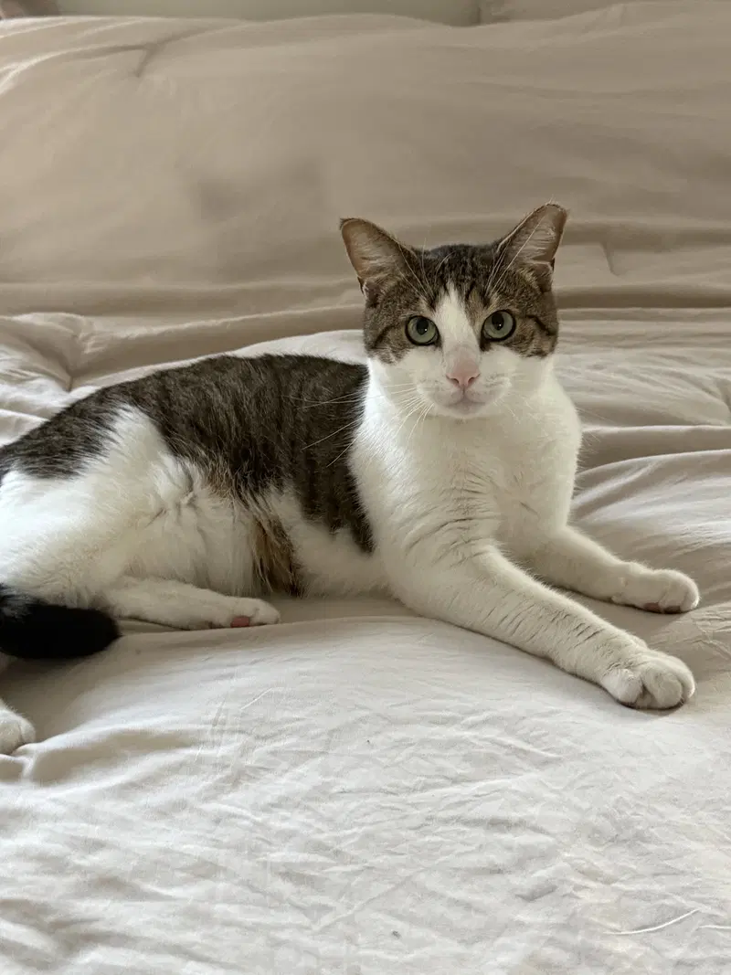 Mabel, photo 5