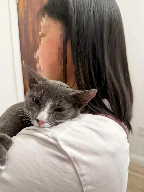 Grey, photo 3