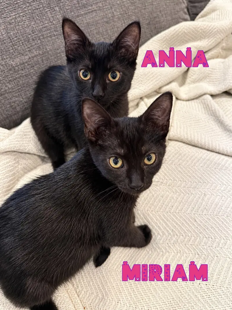 Anna, photo 4