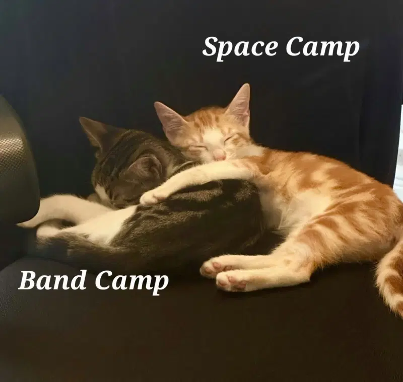 Band Camp, photo 2