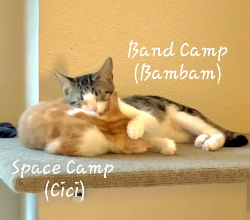 Space Camp, photo 4