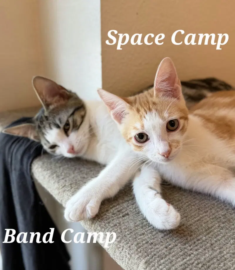 Space Camp, photo 5