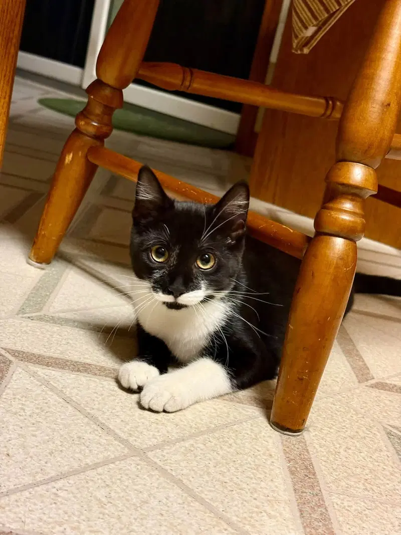 Sabrina, photo 3