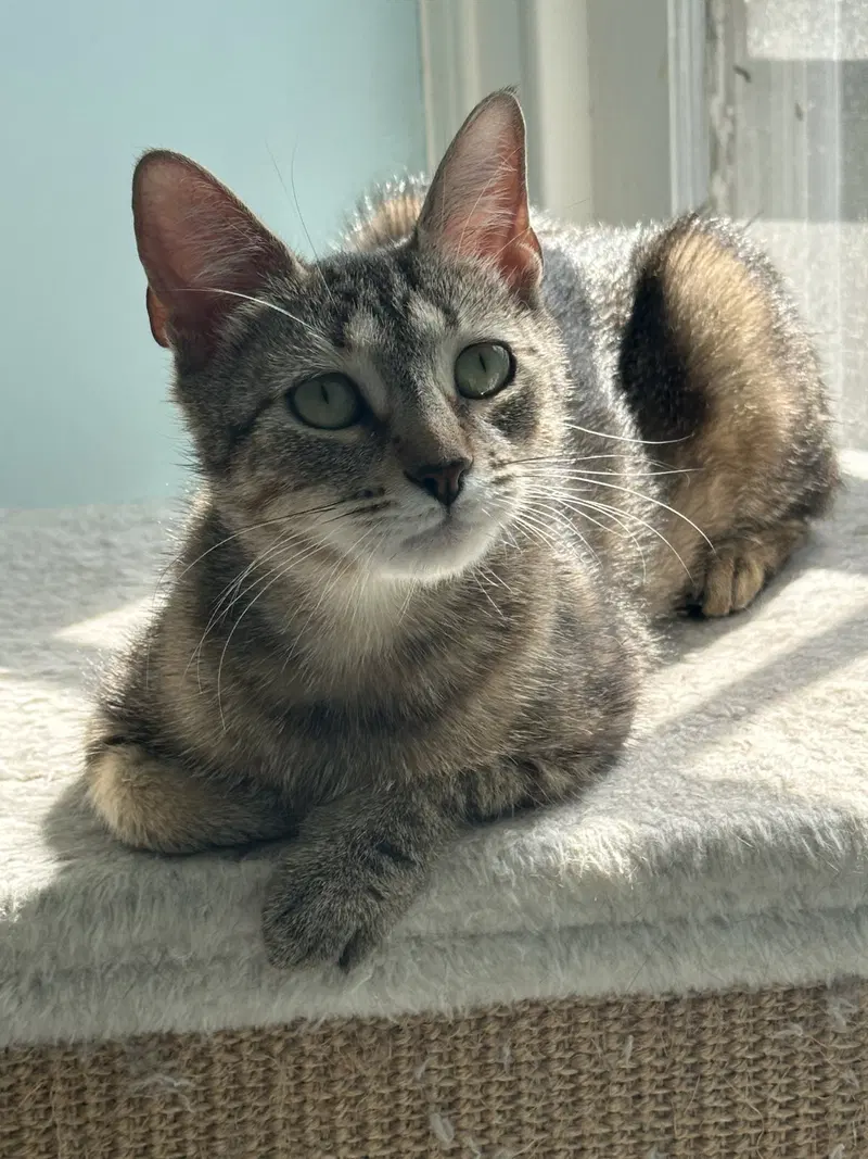 Eloise, photo 2