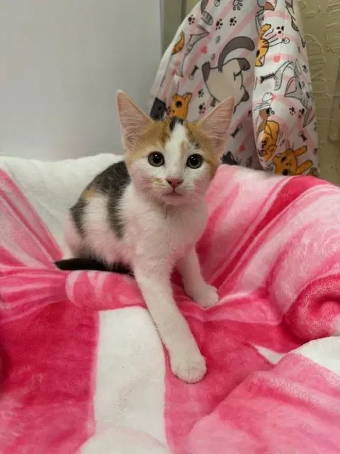 Betty Lou, photo 3