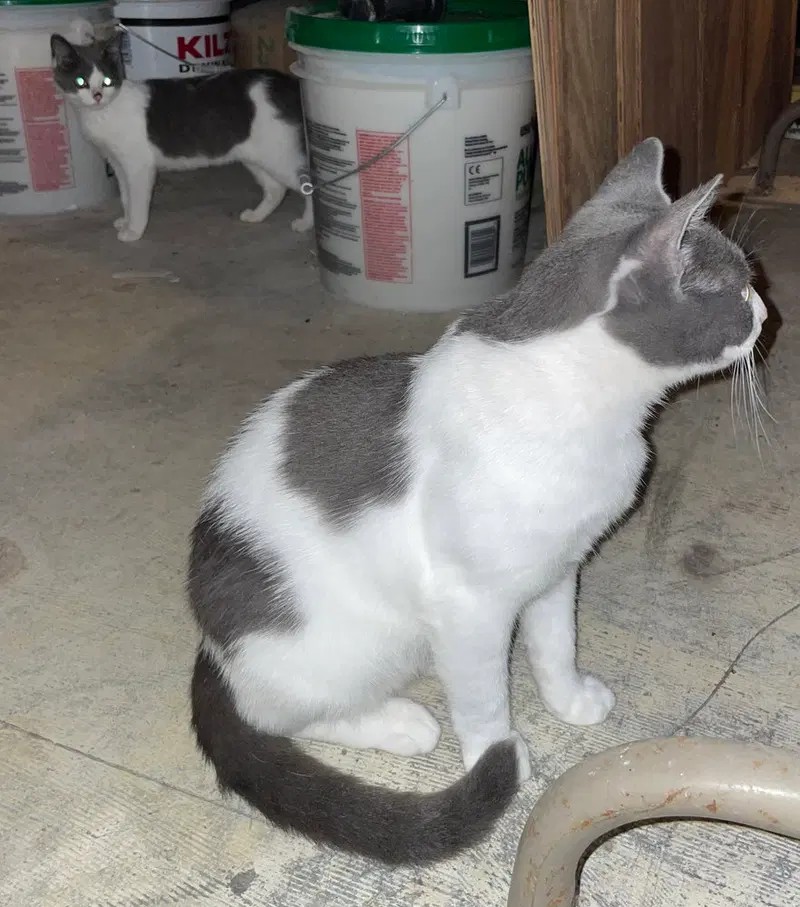 Momma March, photo 3