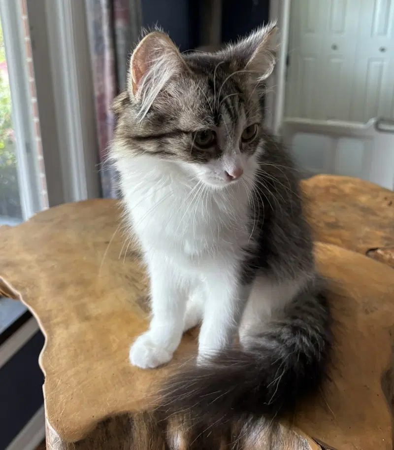 Fiona, photo 4