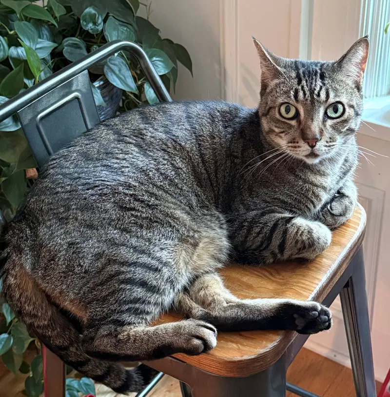 Prince Tubby, photo 2
