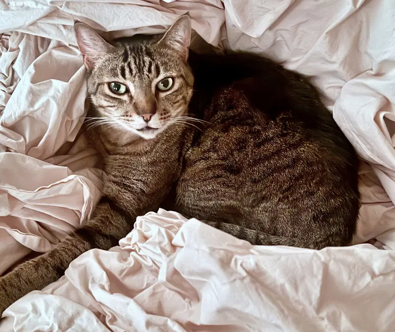 Prince Tubby, photo 4