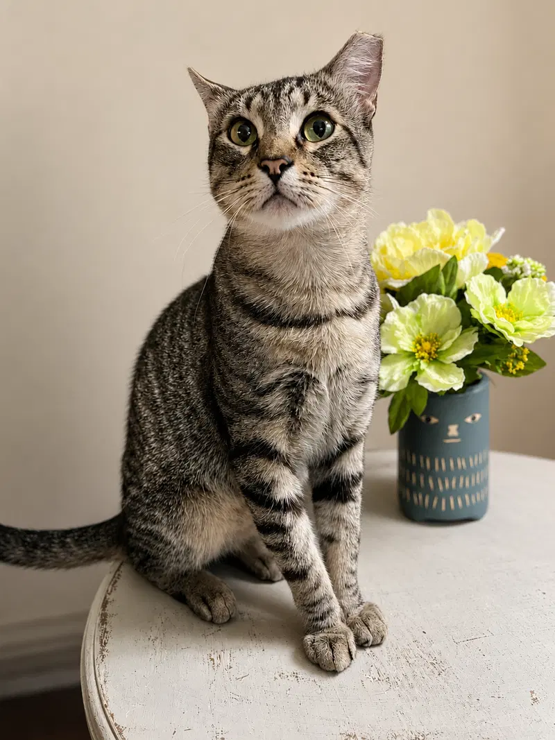 Axel, photo 5