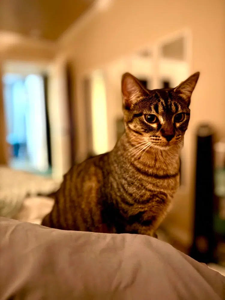Sandy, photo 3