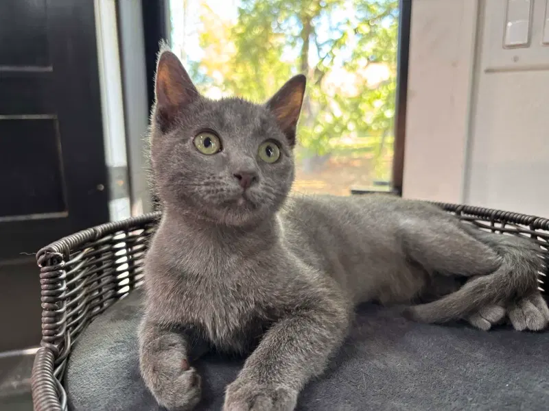 Mimi, photo 6