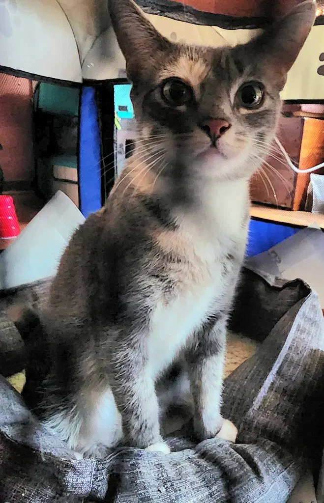 Eleanor, photo 3