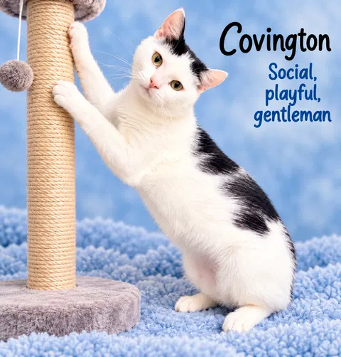 Watch the video of Covington JPS event 10/24-25